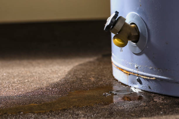 Best Basement water damage restoration  in Greenfield, CA