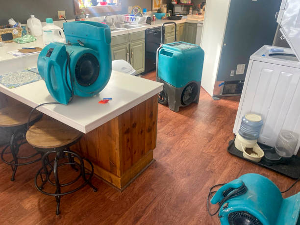 Best Water damage restoration near me  in Greenfield, CA