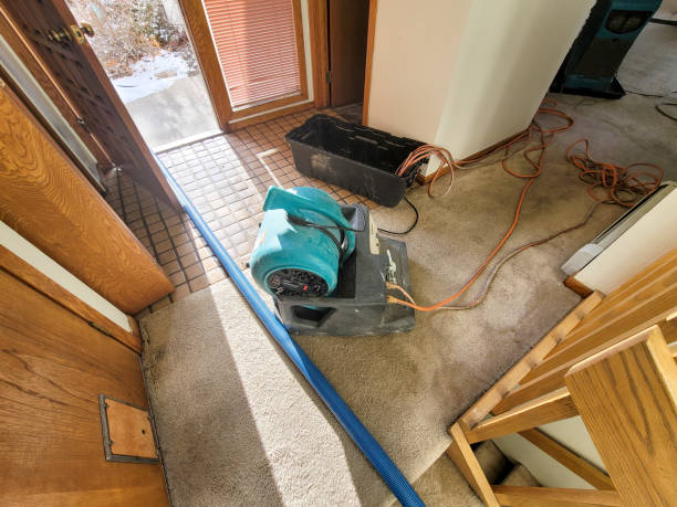  Greenfield, CA Water damage restoration Pros