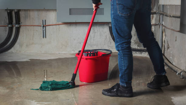 Best Flooded house restoration  in Greenfield, CA