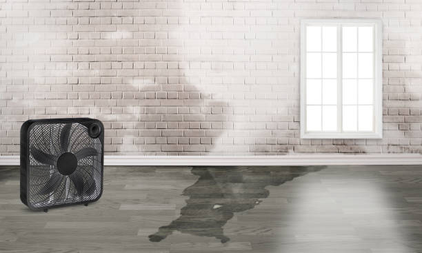Best Flood restoration services  in Greenfield, CA