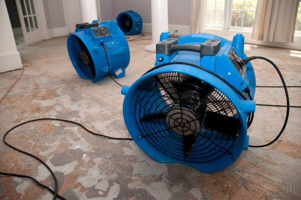 Best Local water damage restoration  in Greenfield, CA