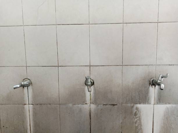 Best Flooded house restoration  in Greenfield, CA