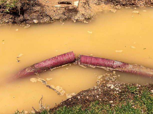  Greenfield, CA Water damage restoration Pros