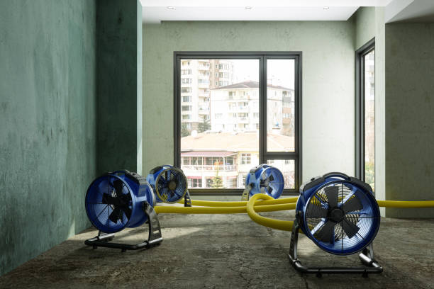 Best Water damage contractors near me  in Greenfield, CA